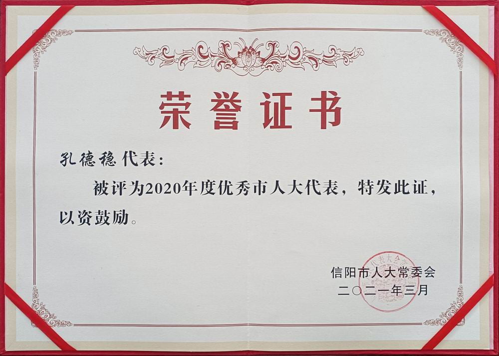 2021孔總優秀人大代表